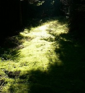 natuur